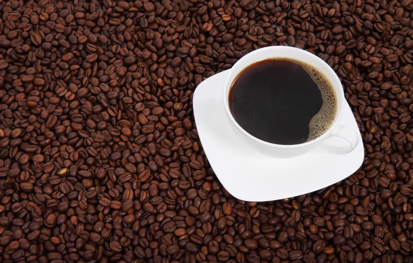 Photo wallpaper cup, beans, coffee