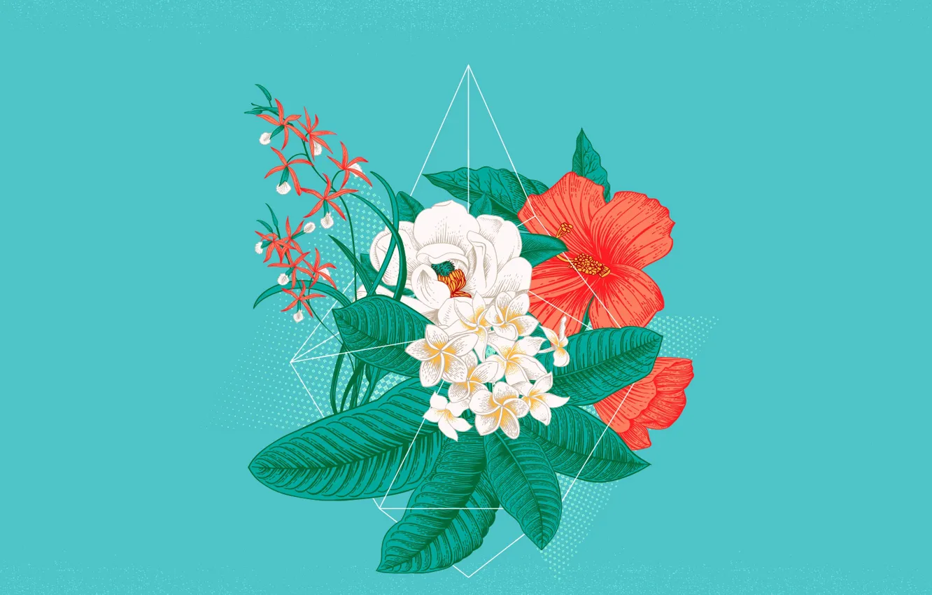 Photo wallpaper Music, Cover, Monstercat, Conro, All I Want