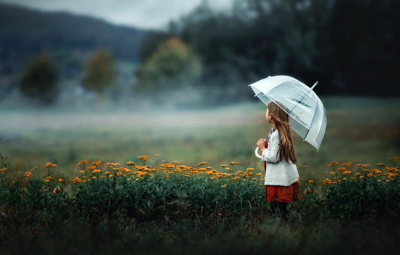 Photo wallpaper field, umbrella, girl
