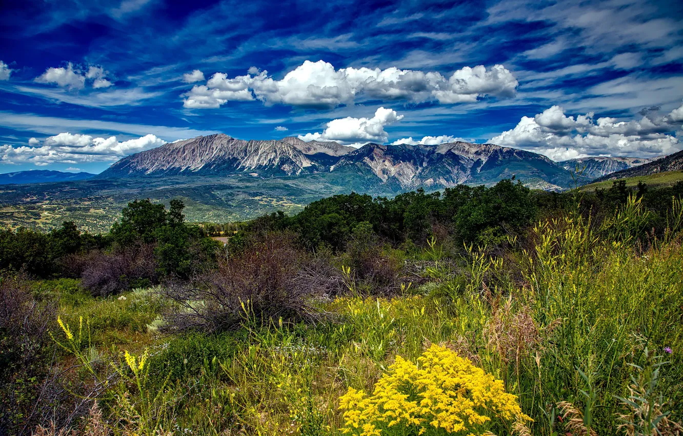 Photo wallpaper field, the sky, clouds, mountains, nature