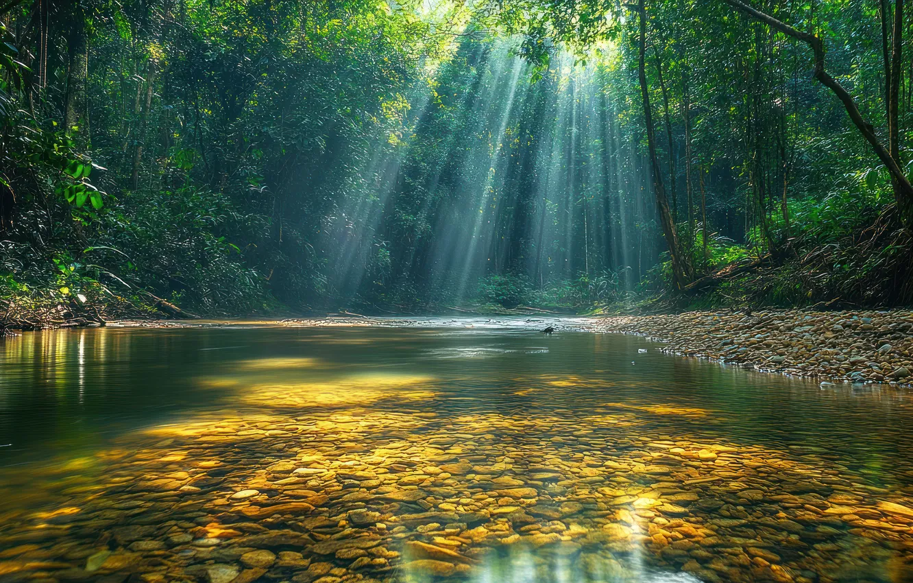 Photo wallpaper greens, forest, summer, the sun, rays, light, trees, branches