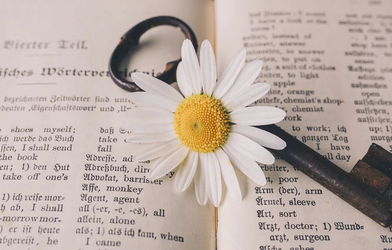 Photo wallpaper flowers, key, old, vintage, Nostalgic