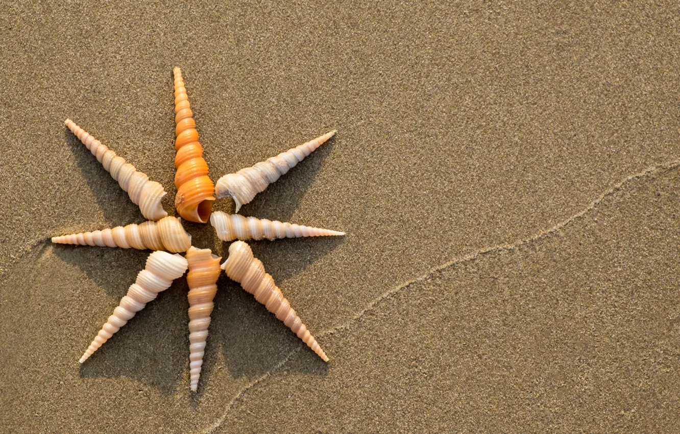 Photo wallpaper sand, beach, summer, shell, summer, beach, sand, seashells