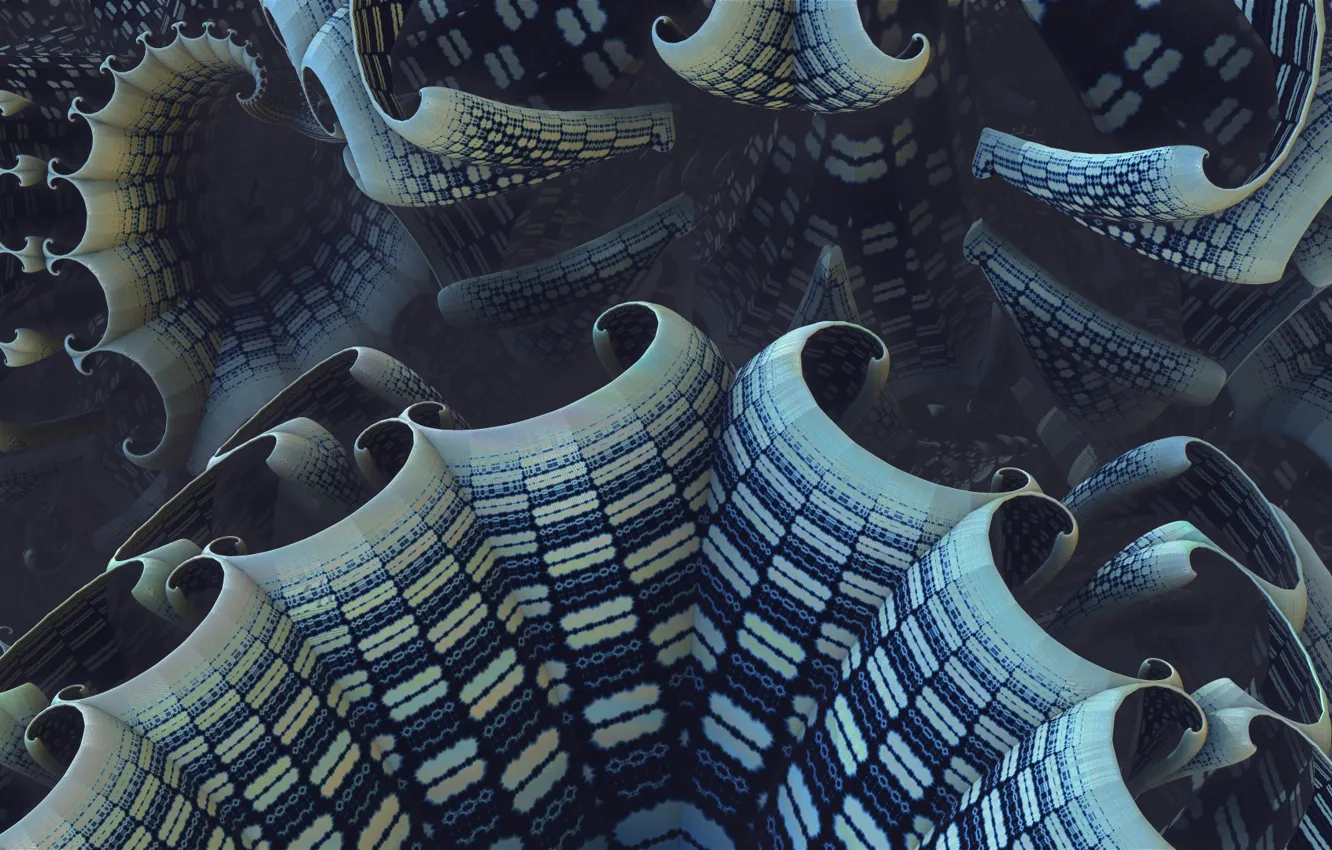 Photo wallpaper macro, curls, crust