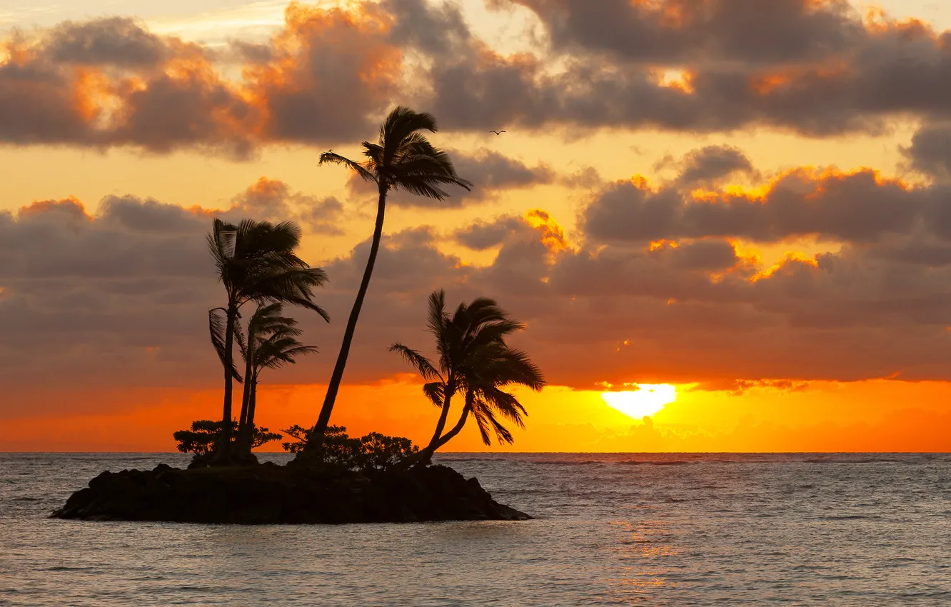 Photo wallpaper sea, the sky, the sun, sunset, clouds, palm trees, island