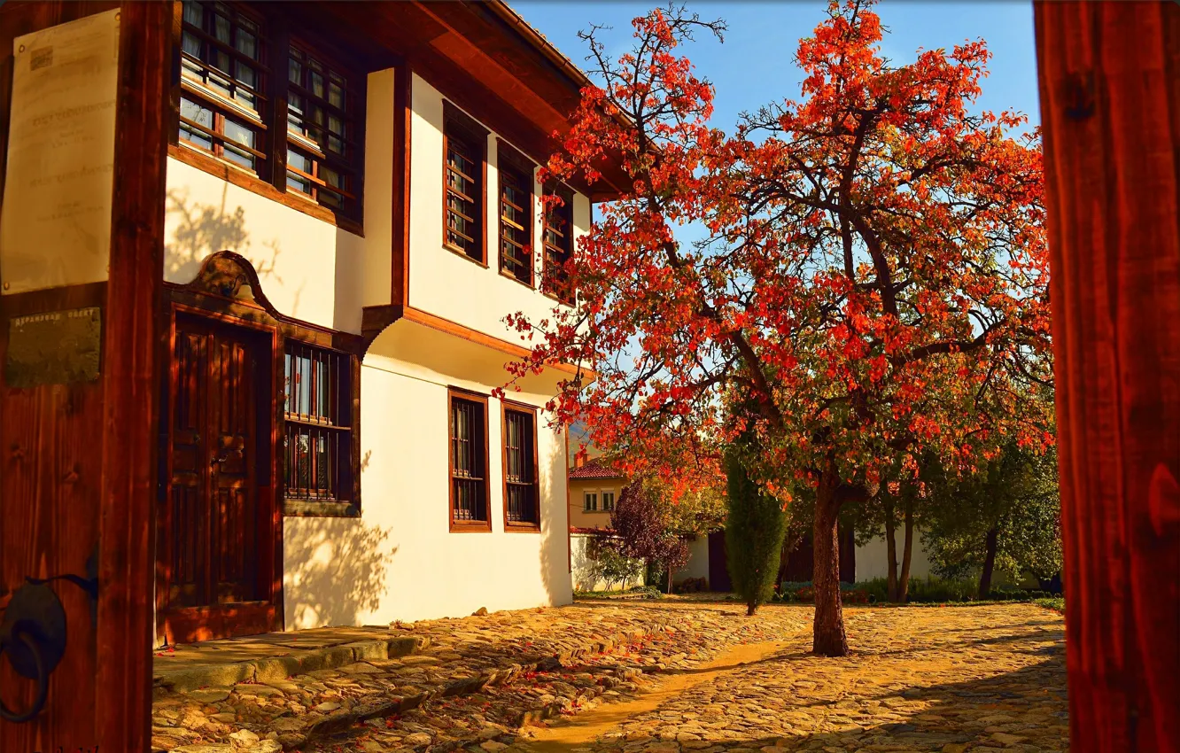 Photo wallpaper Tree, Autumn, House, Fall, Autumn, Colors, Yard