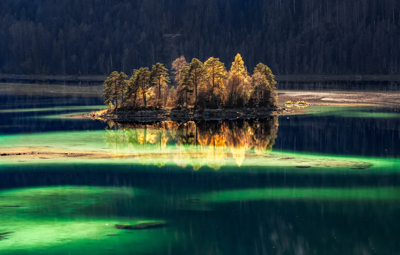 Photo wallpaper autumn, light, nature