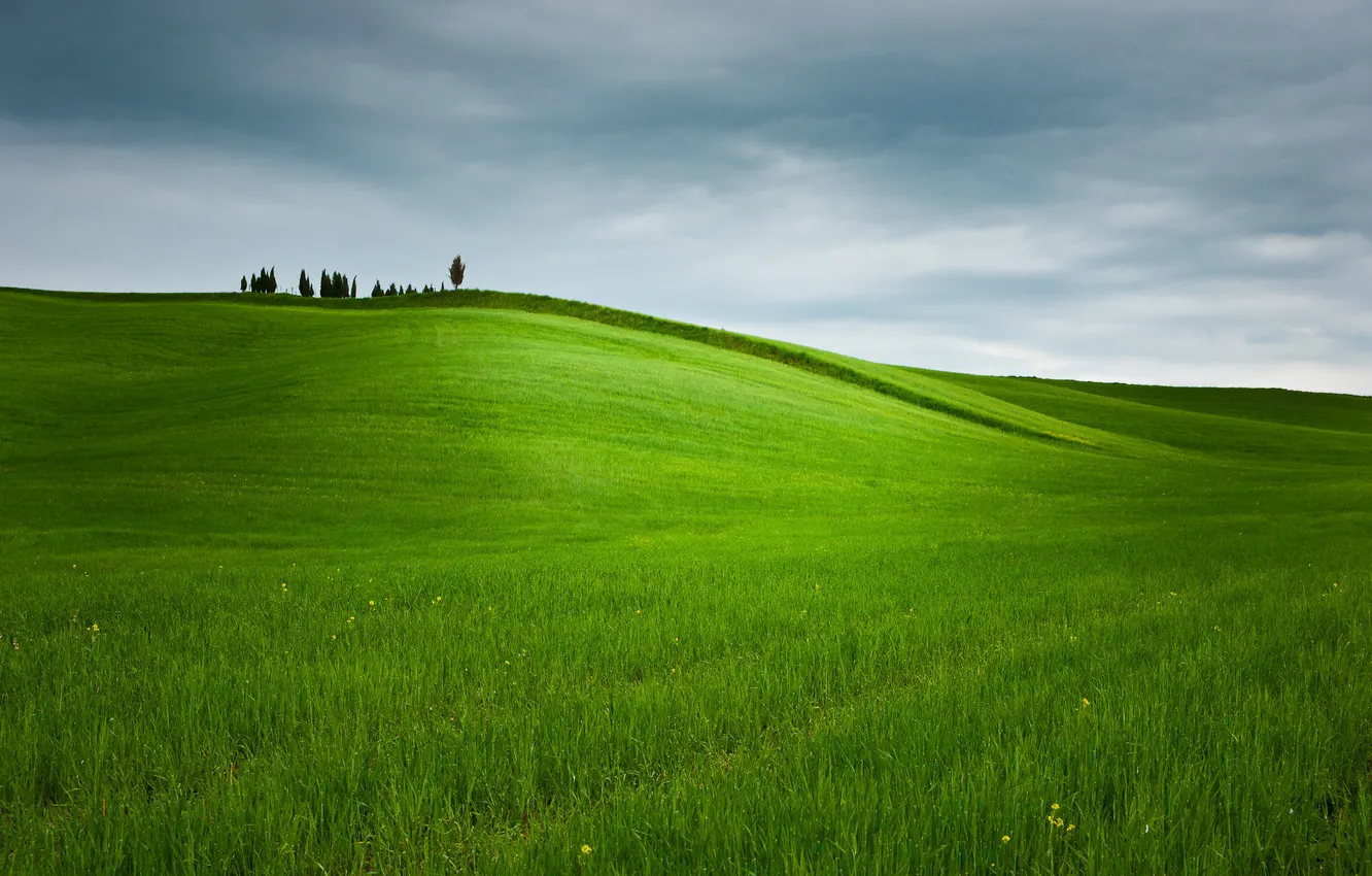 Photo wallpaper field, the sky, grass