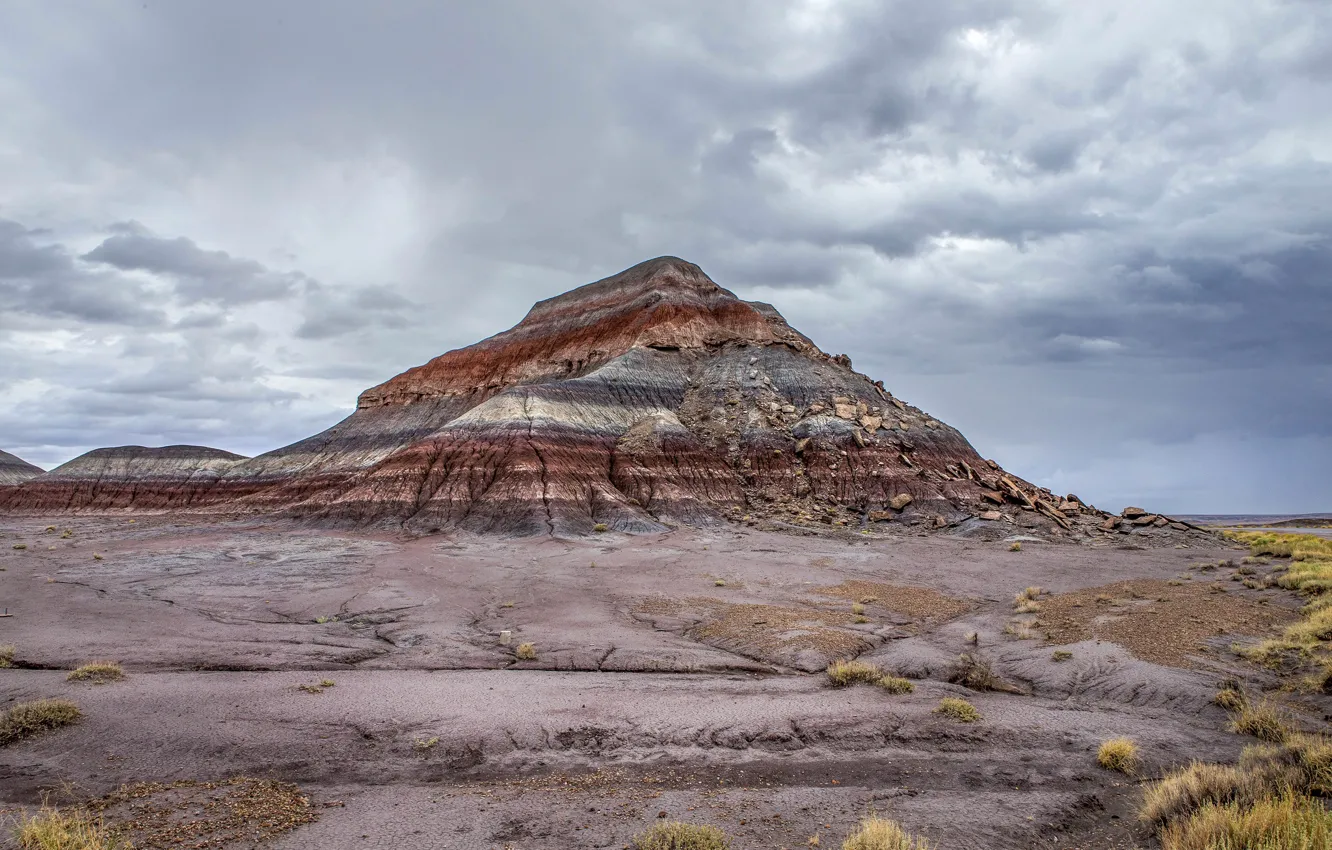 Photo wallpaper landscape, mountain, AZ, USA, Painted Desert