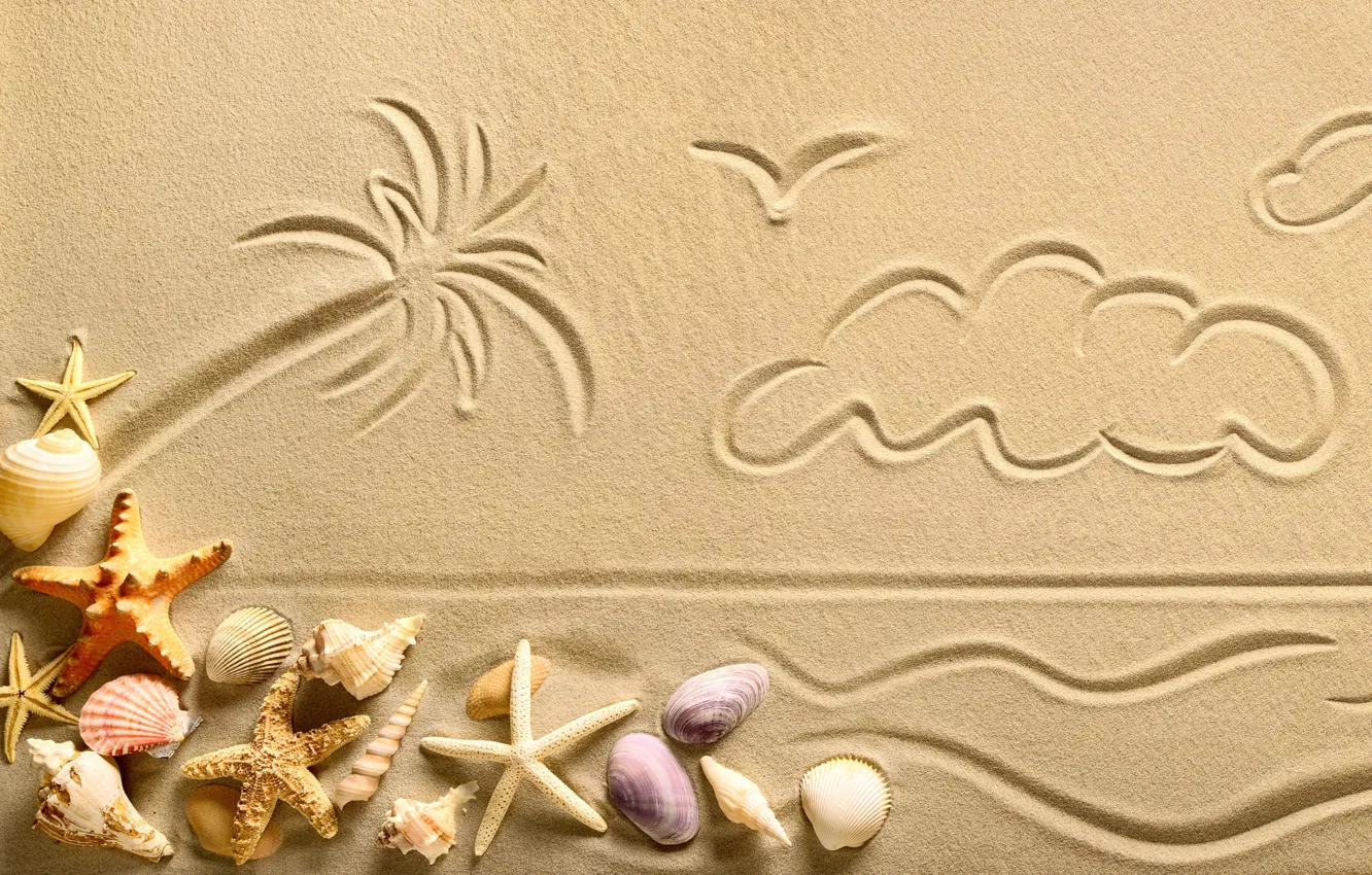 Photo wallpaper sand, star, shell, sand, starfish, seashells