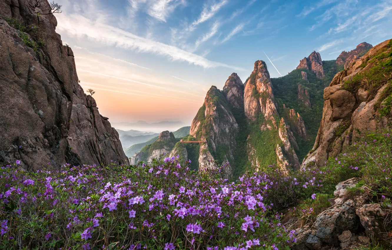 Photo wallpaper the sky, clouds, flowers, mountains, fog, blue, stones, rocks