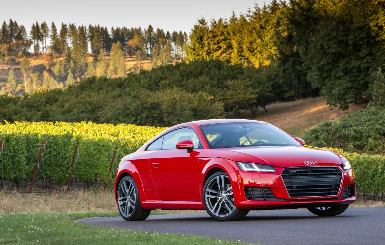 Photo wallpaper Audi, Audi, Coupe, quattro, TFSI, US-spec, 2015