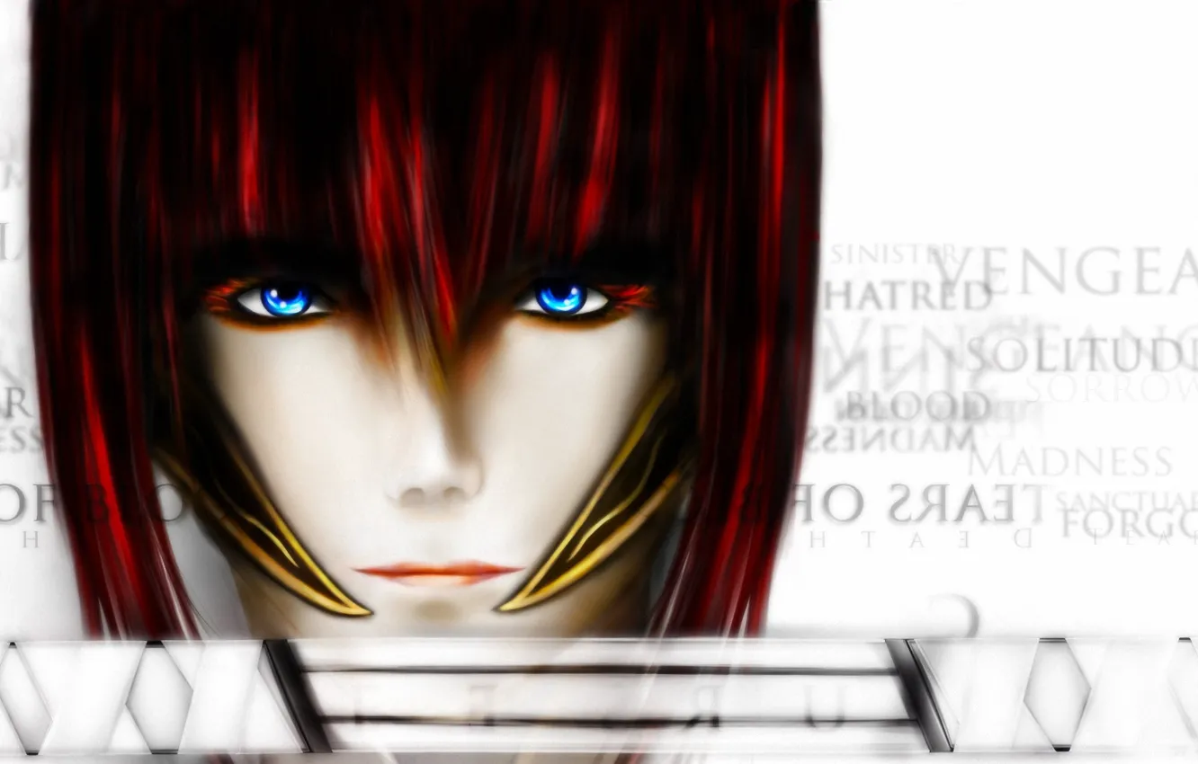 Photo wallpaper girl, face, the inscription, sword, katana, art, red