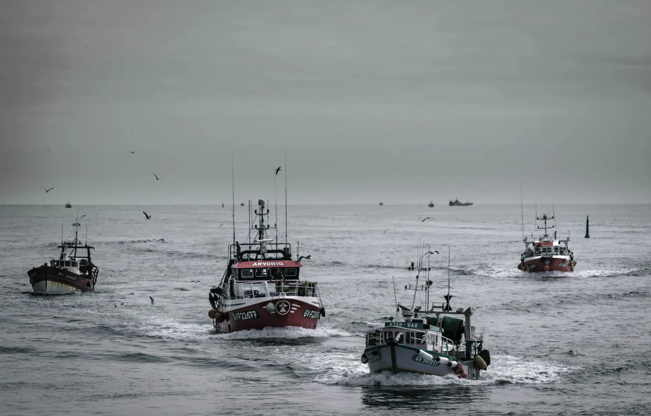 Photo wallpaper sea, the storm, wave, boat, seagulls, horizon, Navy, gray clouds