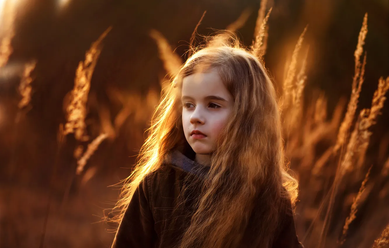 Photo wallpaper grass, sunset, nature, children, girl
