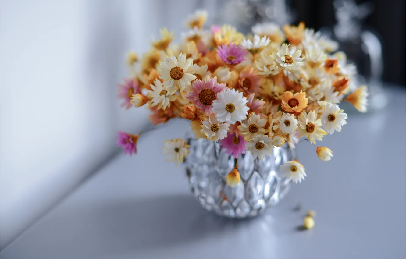 Photo wallpaper bouquet, vase, Immortelle