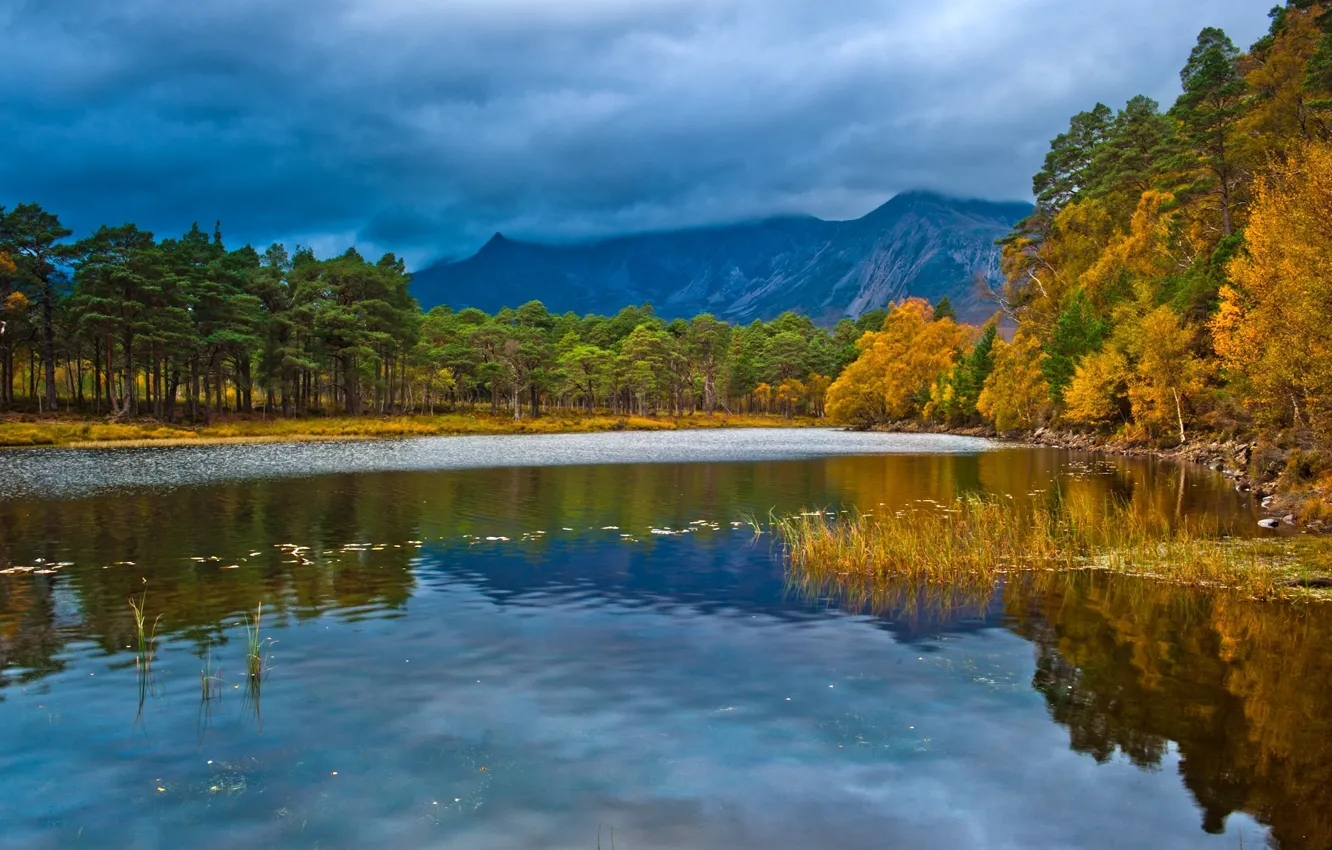 Photo wallpaper autumn, forest, landscape, lake, Scotland, England, loch Clair