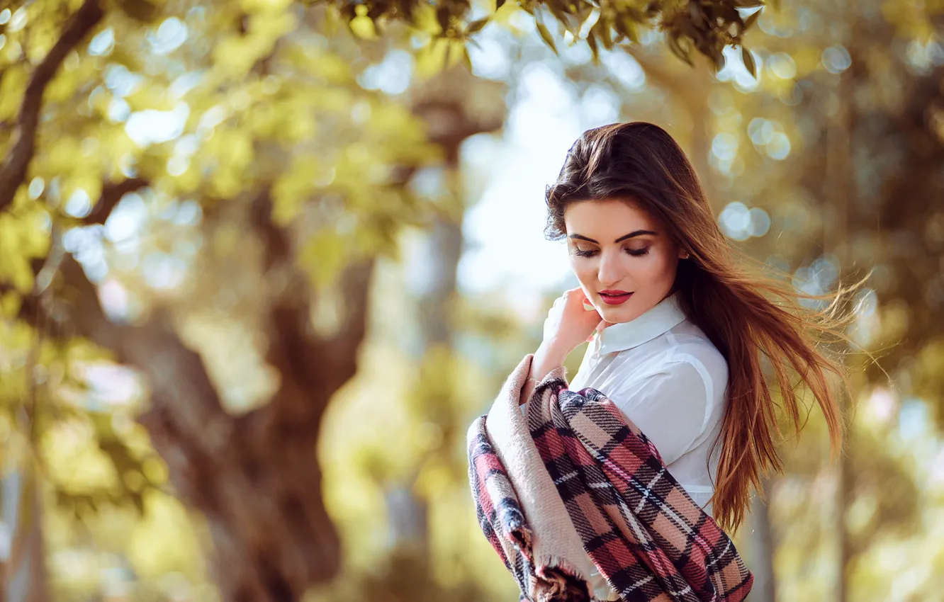 Photo wallpaper the sun, trees, pose, model, portrait, makeup, hairstyle, blouse