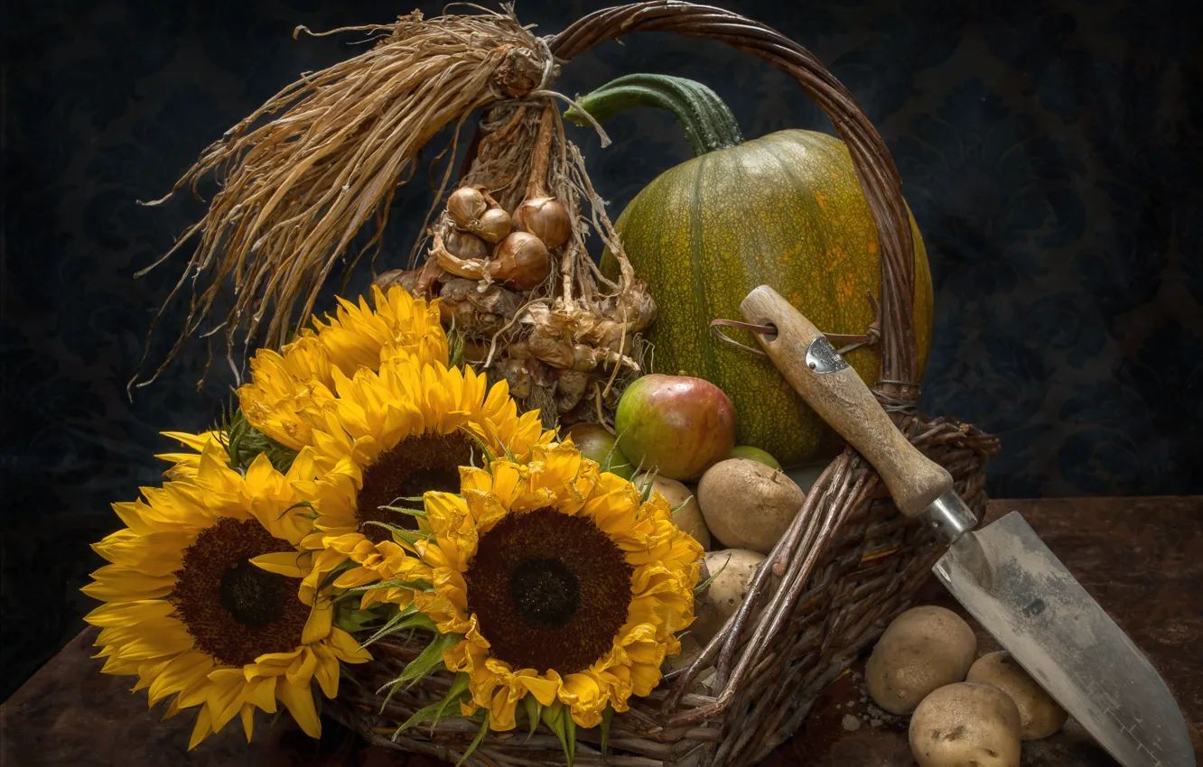 Photo wallpaper pumpkin, knife, potatoes, sunflowers, bow, apples