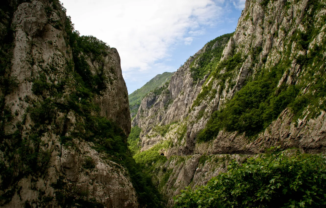 Photo wallpaper mountains, nature, beautiful, canyon, Montenegro, Montenegro, the Tara river