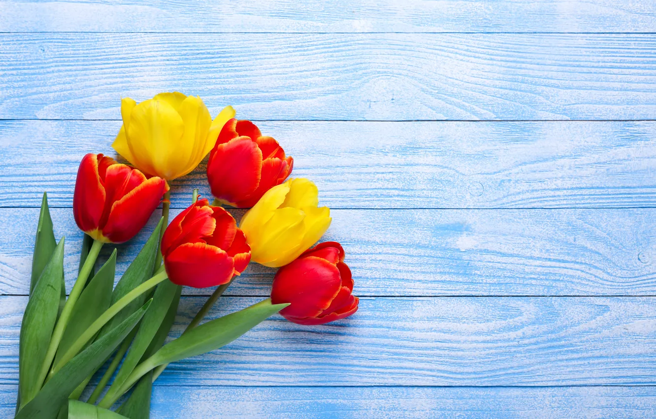 Photo wallpaper flowers, yellow, tulips, red, red, yellow, wood, flowers