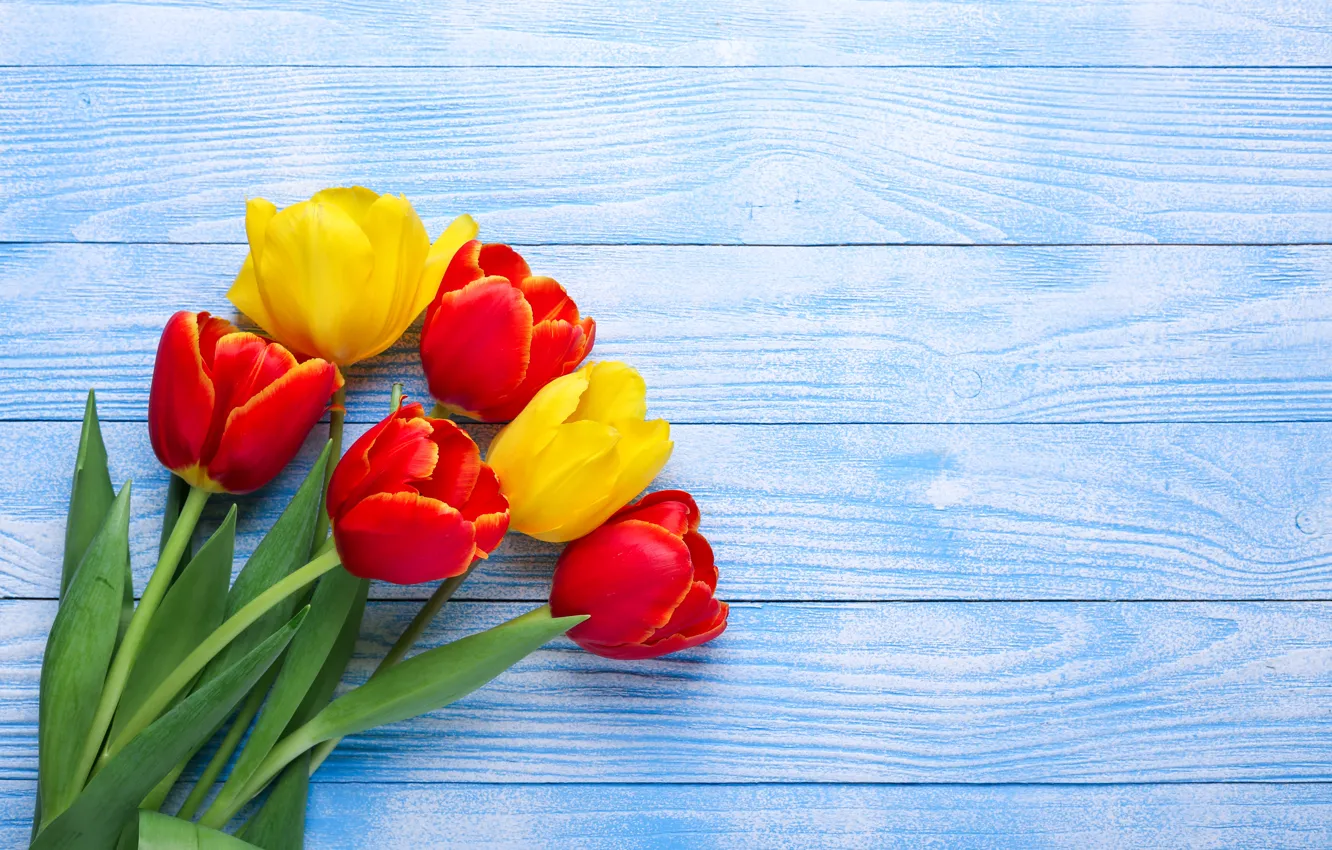 Photo wallpaper flowers, yellow, red, tulips, red, yellow, wood, flowers
