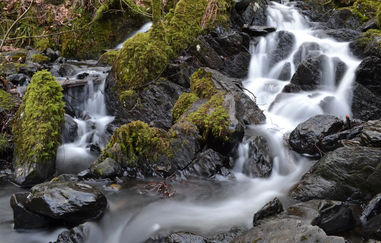 Photo wallpaper river, stones, moss, stream