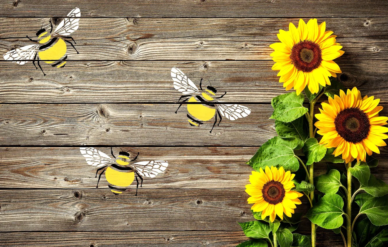 Photo wallpaper sunflowers, flowers, bee, Board