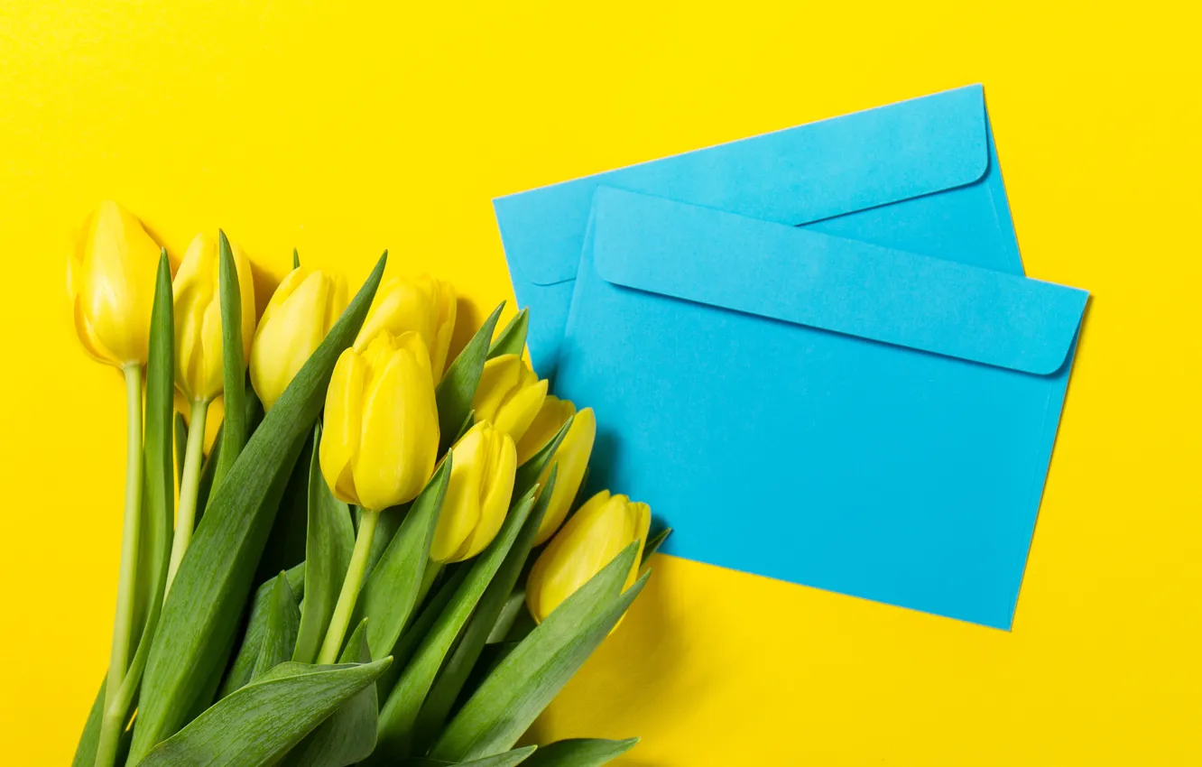 Photo wallpaper flowers, yellow, bouquet, spring, tulips, fresh, yellow, flowers