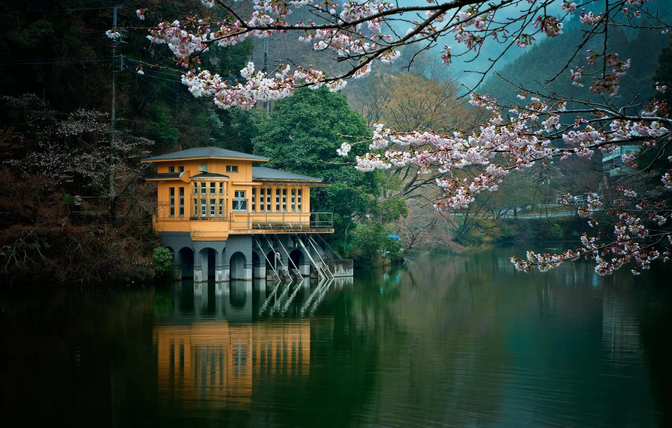 Photo wallpaper lake, Villa, flowering