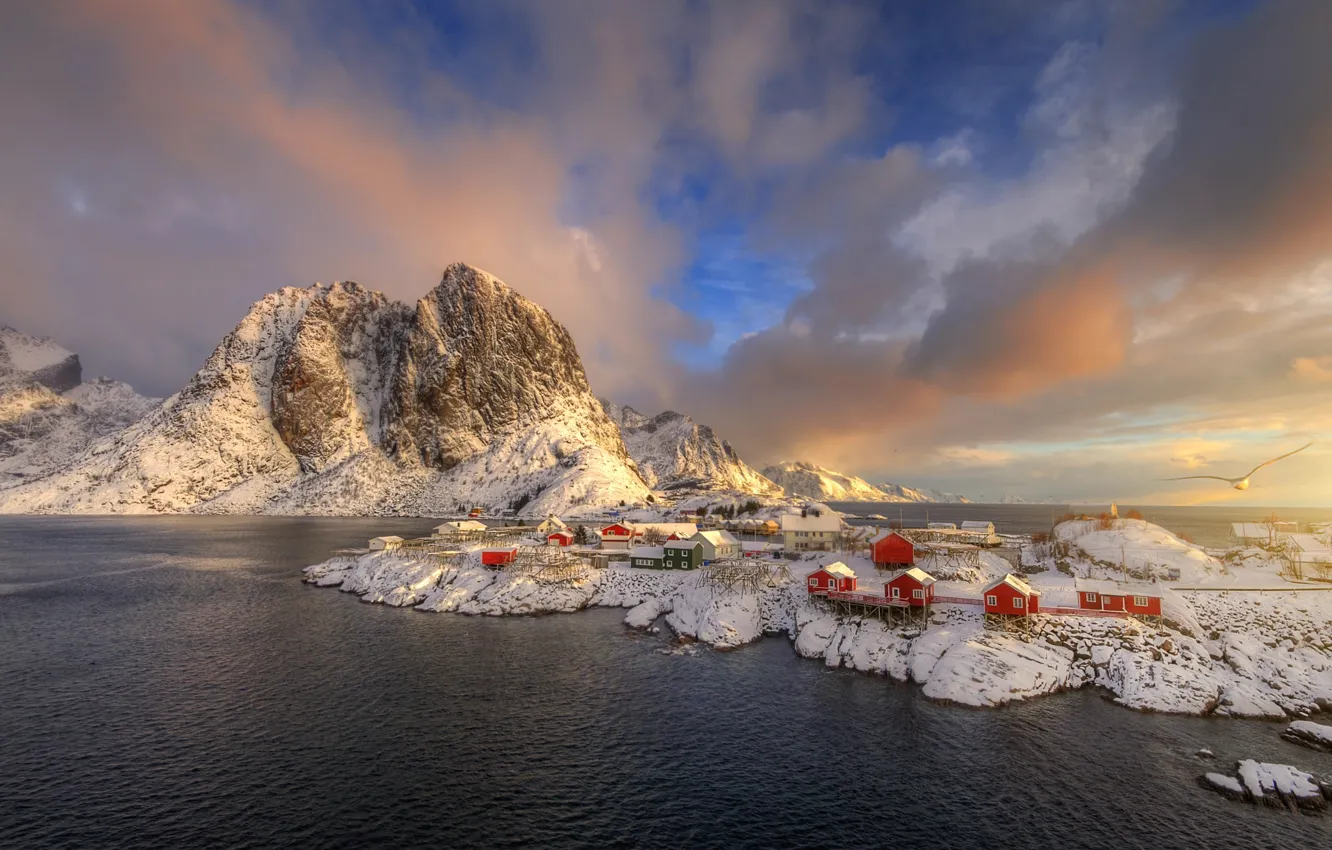 Photo wallpaper winter, clouds, light, snow, rocks, Seagull, Norway, settlement