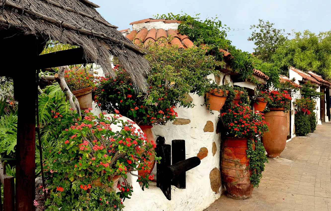 Photo wallpaper street, pot, flowers, flowers, street