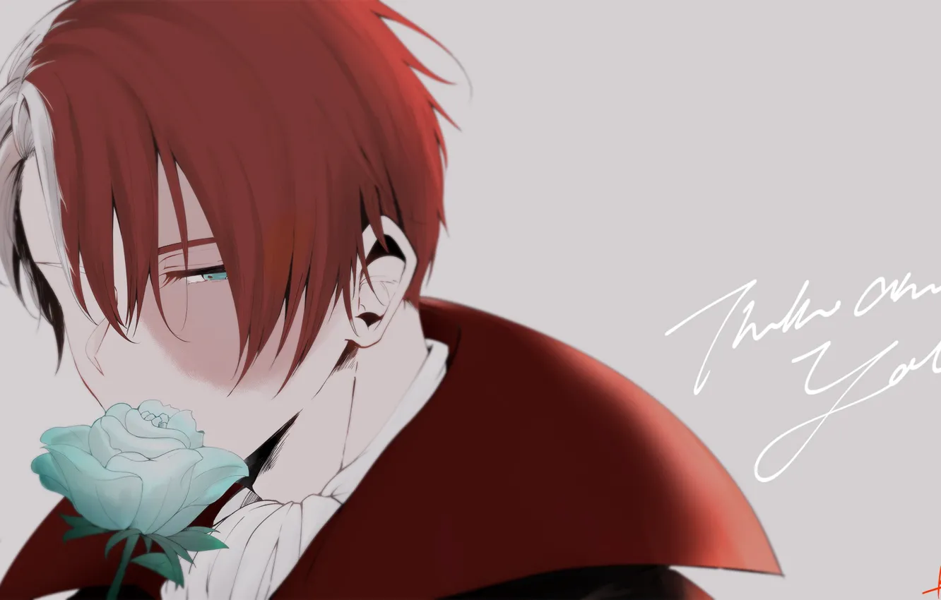 Photo wallpaper background, rose, guy, Boku no Hero Academy, Todoroki Shouto