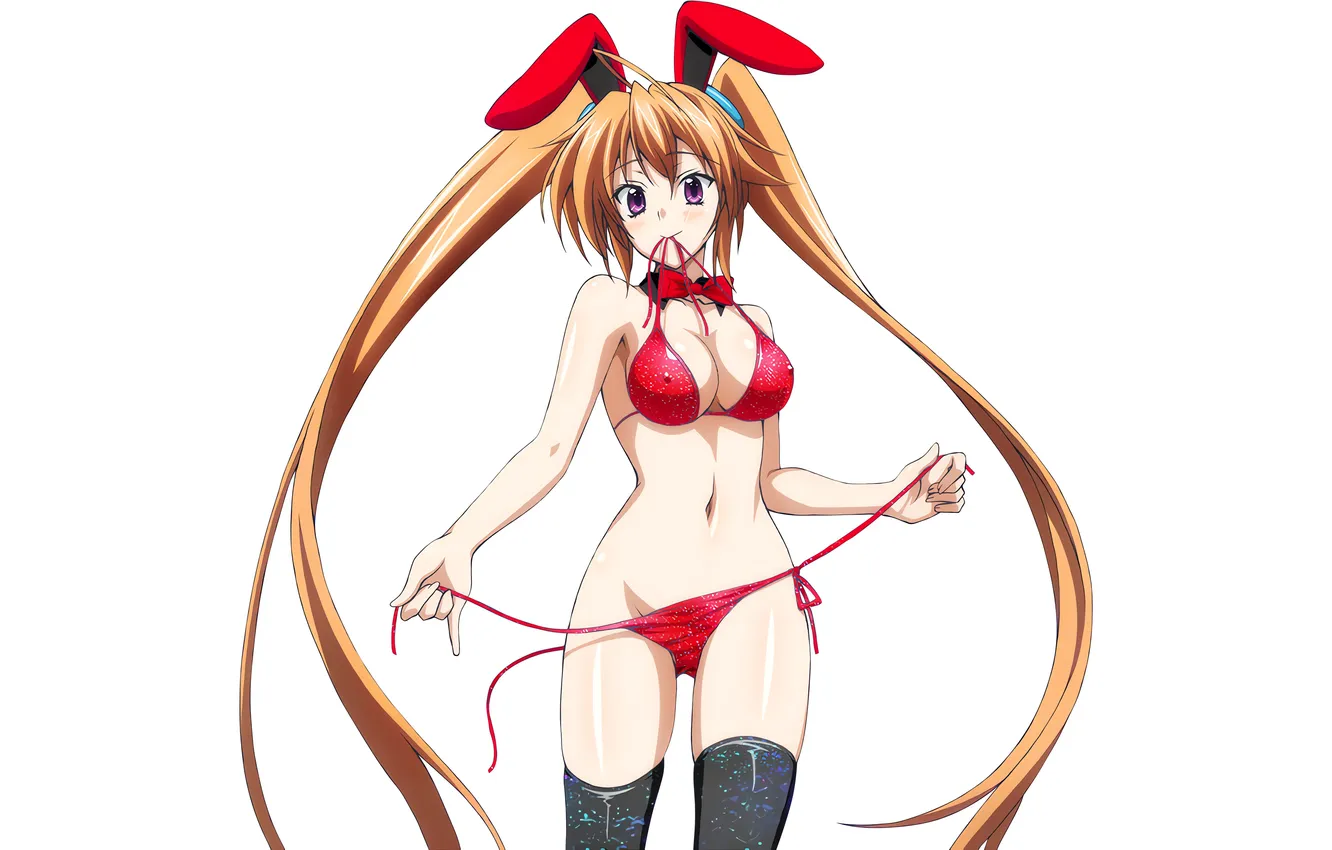 Photo wallpaper girl, sexy, cleavage, thighhighs, long hair, boobs, animal ears, sexy girl