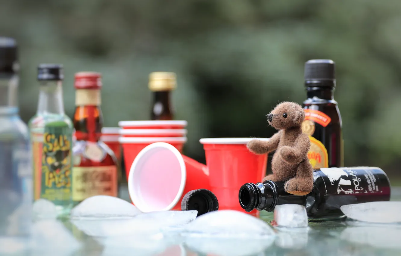 Photo wallpaper childhood, table, background, toy, ice, small, bear, bear