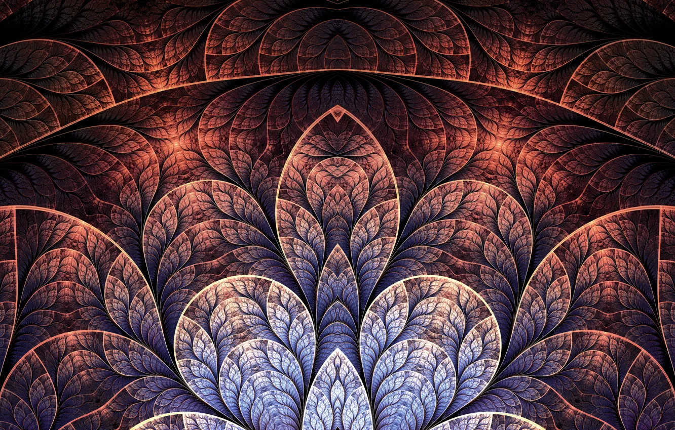 Photo wallpaper line, patterns, petals, art, fractal
