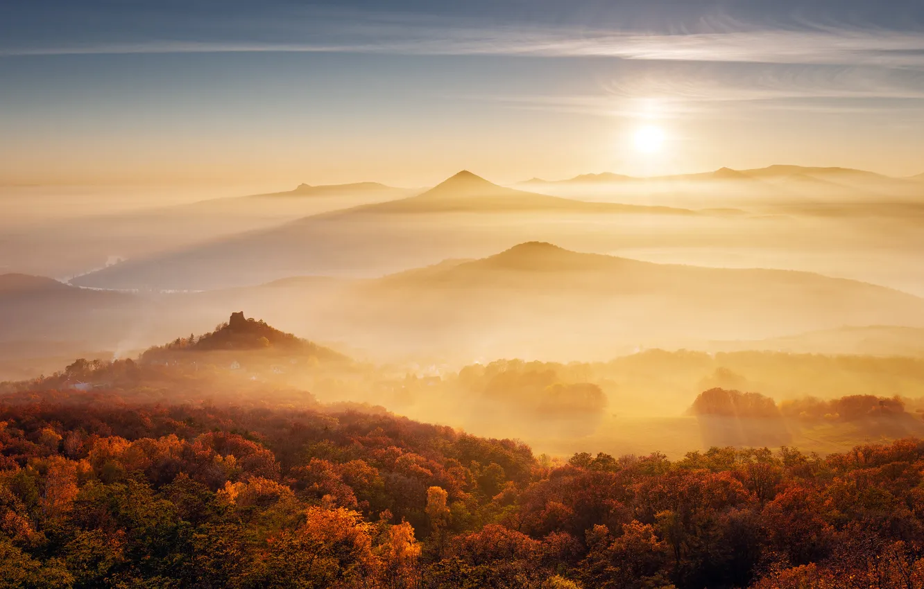 Photo wallpaper autumn, forest, mountains, fog, morning, stance