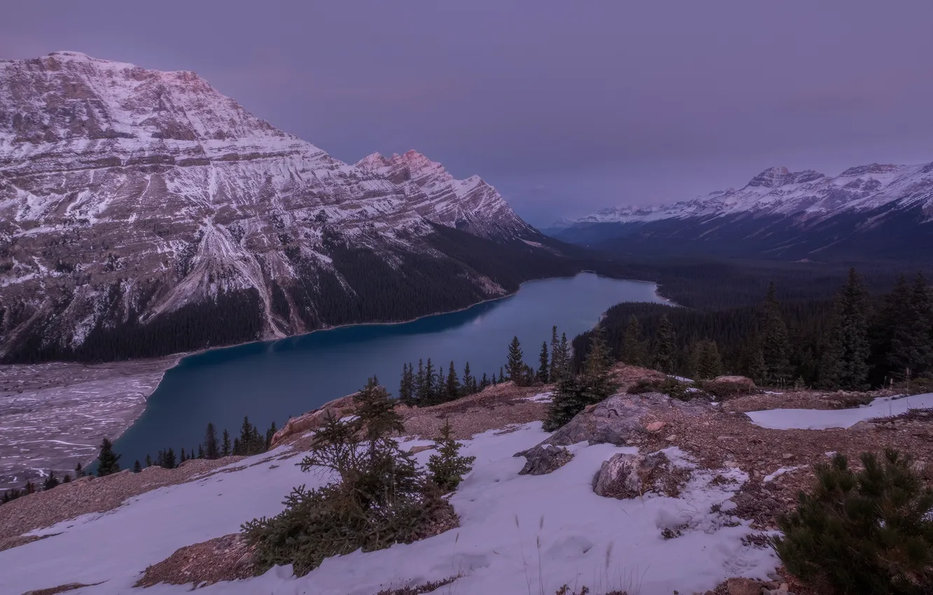 Photo wallpaper winter, forest, snow, mountains, lake, Canada