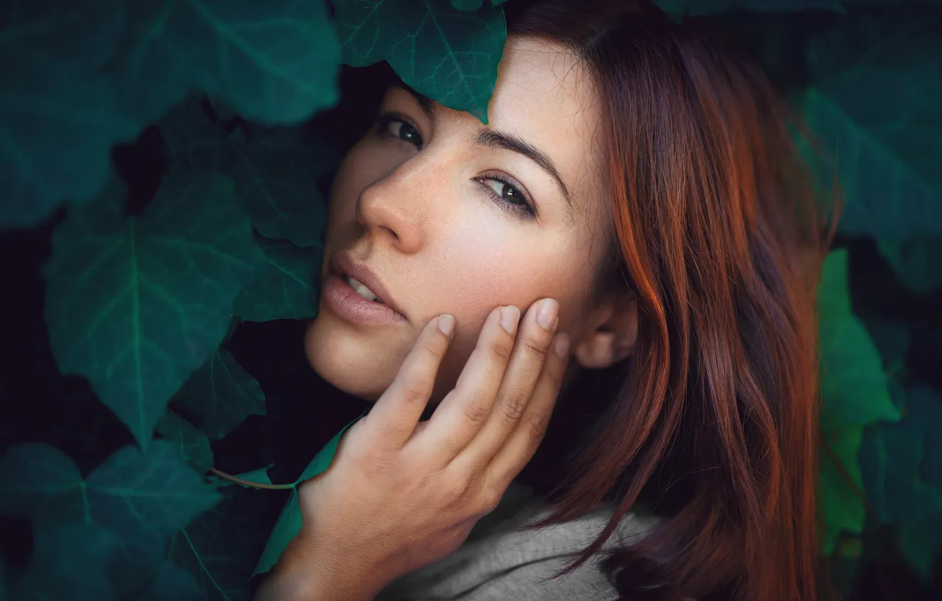 Photo wallpaper look, leaves, girl, close-up, face, model, portrait, hands