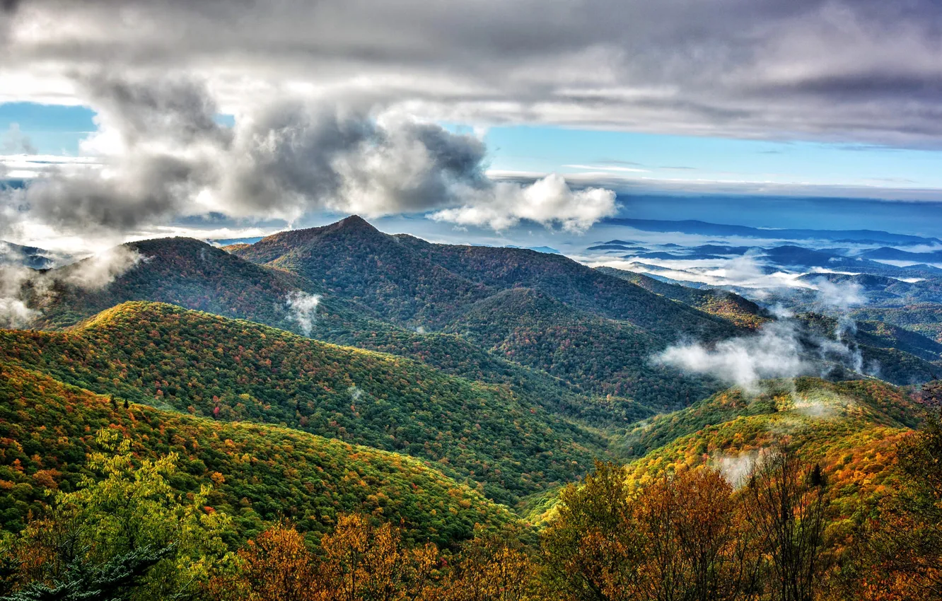 Photo wallpaper autumn, forest, clouds, mountains, panorama, USA, Pisgah National Forest