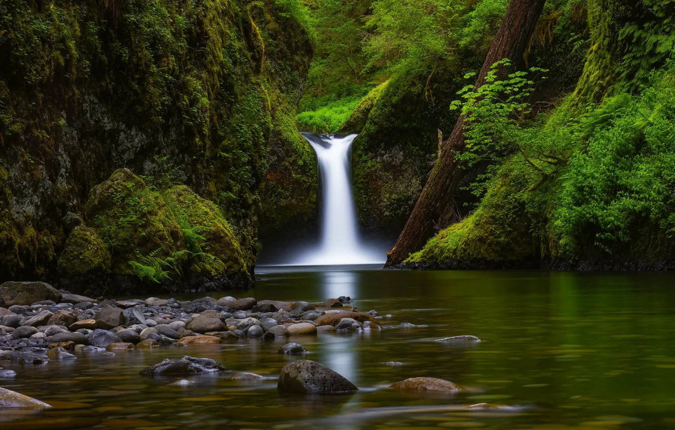 Photo wallpaper river, stones, waterfall, moss, Oregon, log, Oregon, Columbia River Gorge