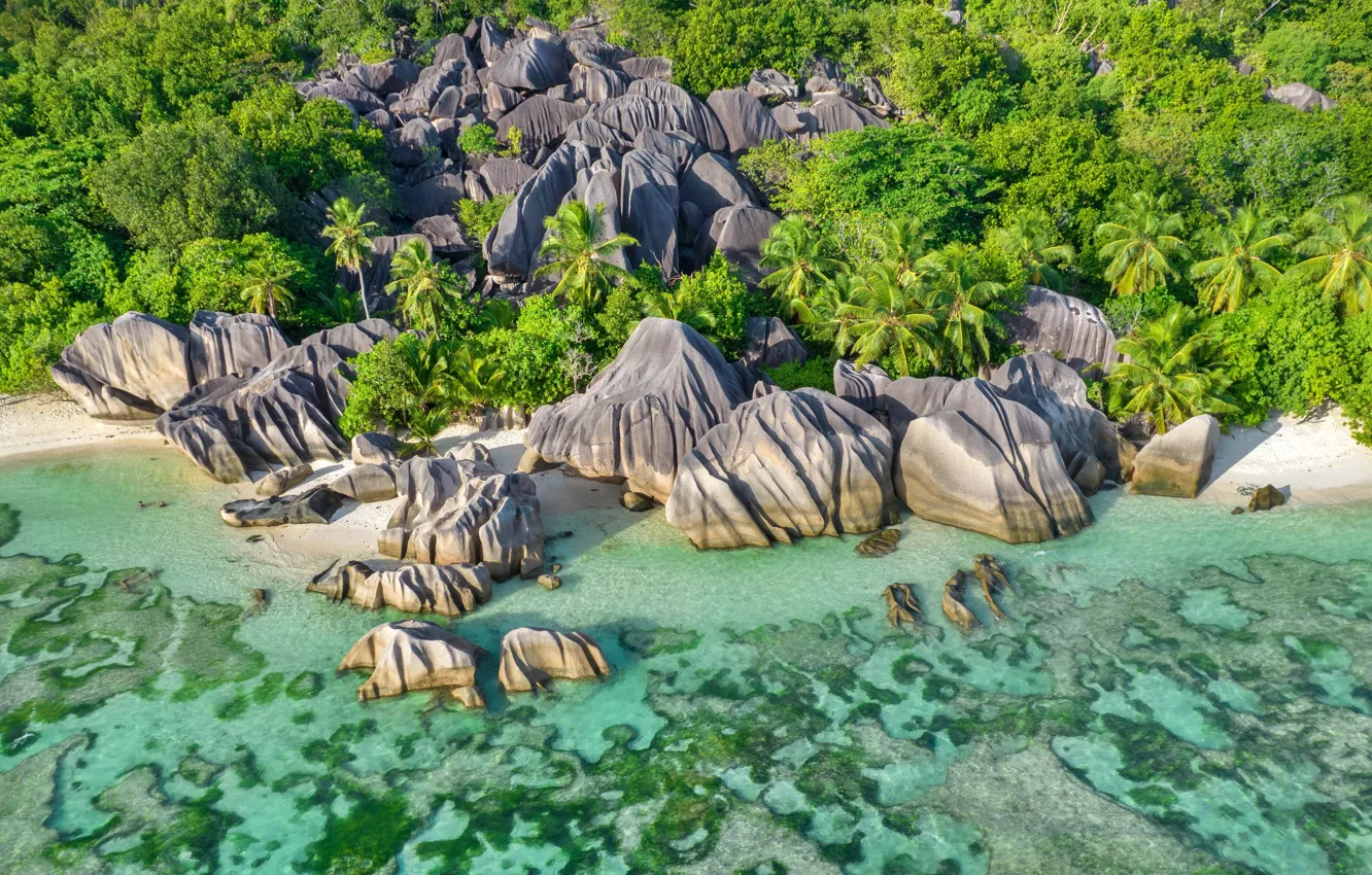 Photo wallpaper tropics, stones, palm trees, Wallpaper, shore, island, picture, coast