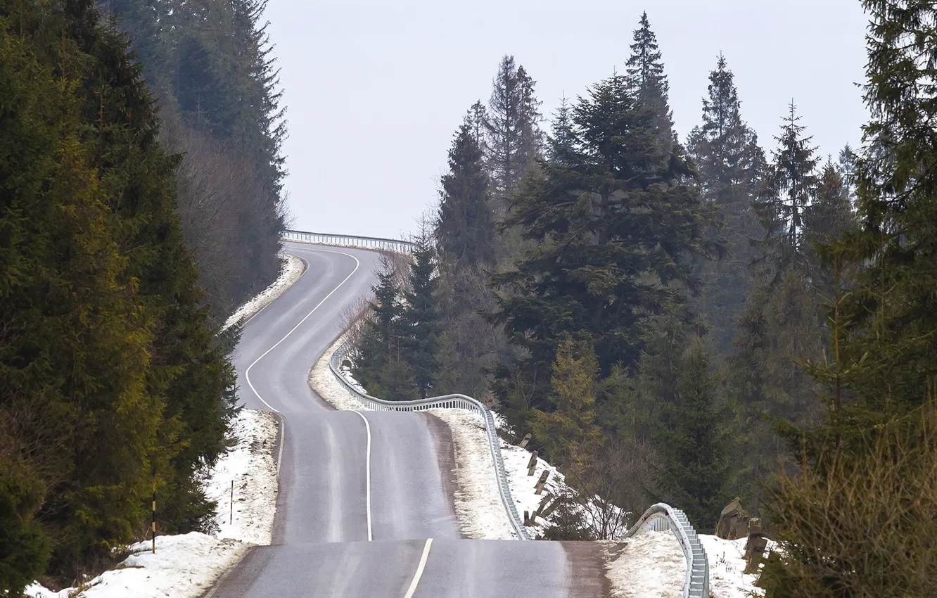 Photo wallpaper road, Ukraine, Carpathians