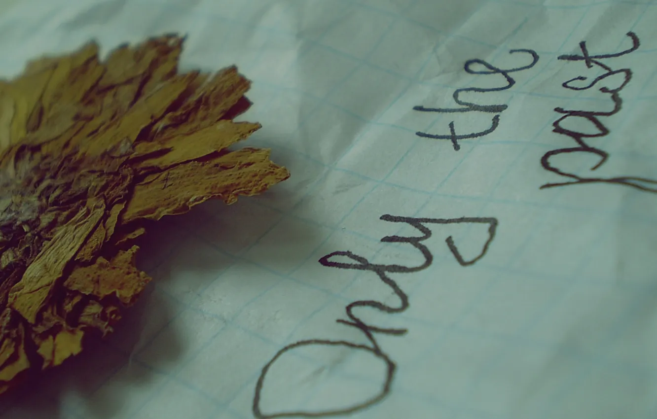 Photo wallpaper love, flowers, memory, past