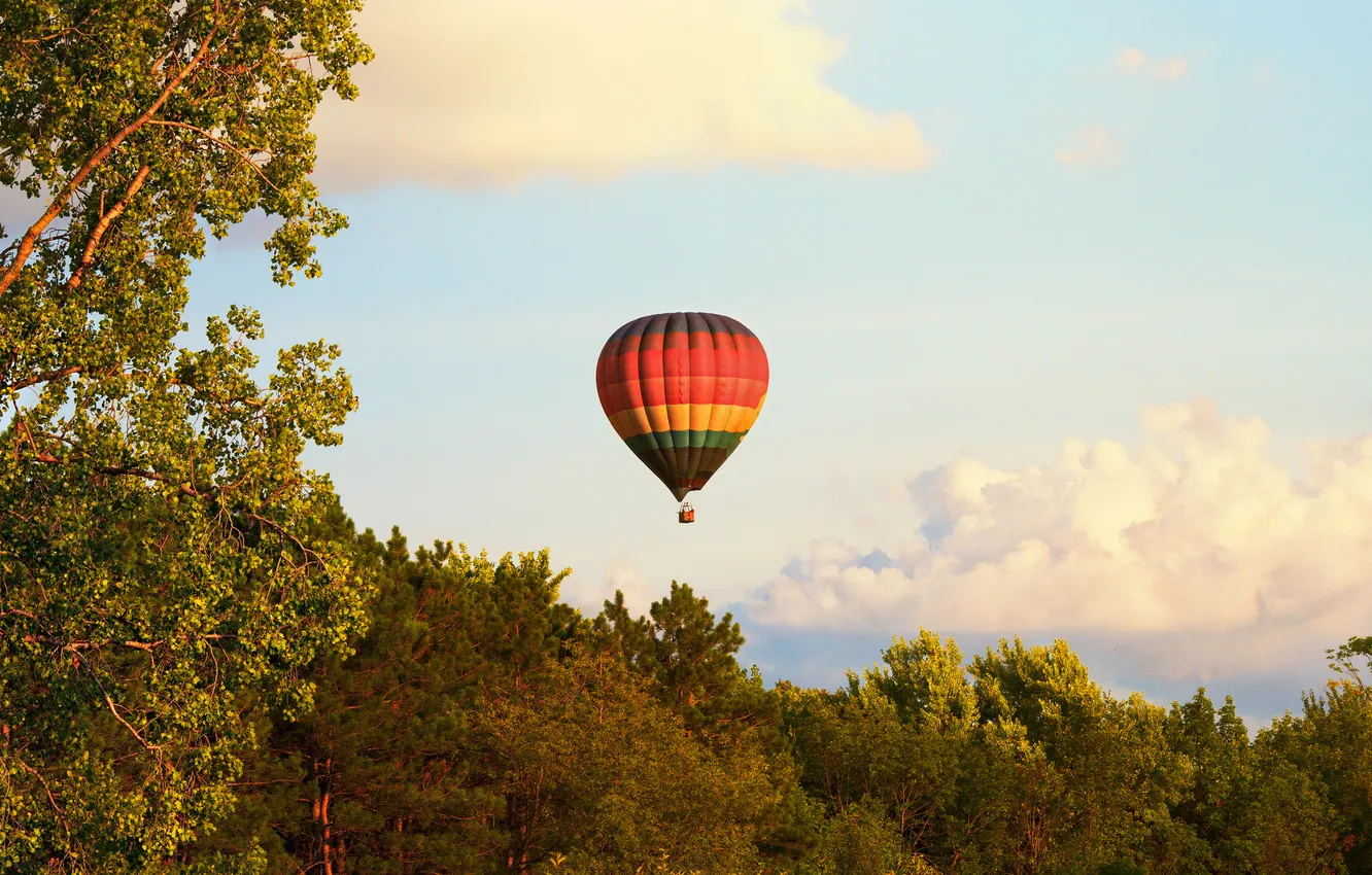 Photo wallpaper the sky, trees, balloon