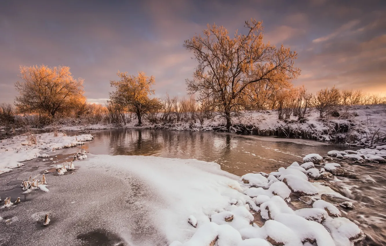 Photo wallpaper winter, trees, river