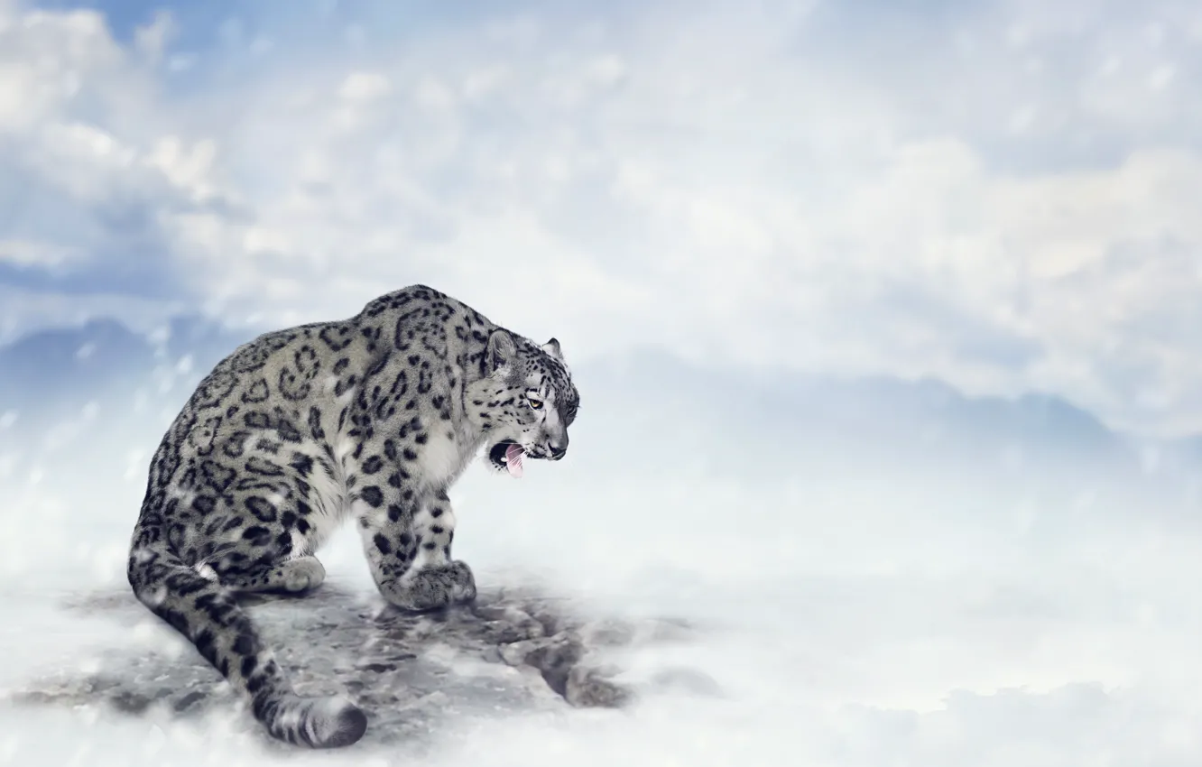 Photo wallpaper clouds, snow, mountains, predator, IRBIS, snow leopard, bokeh