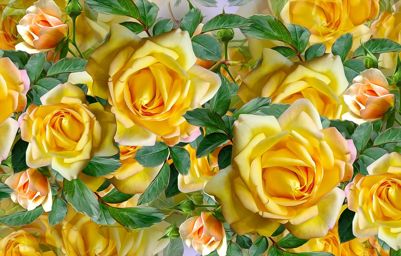 Photo wallpaper Graphics, Flowers, Roses