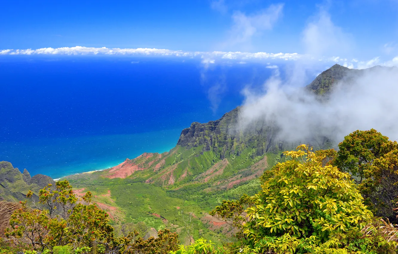 Photo wallpaper sea, the sky, clouds, trees, mountains, shore, horizon
