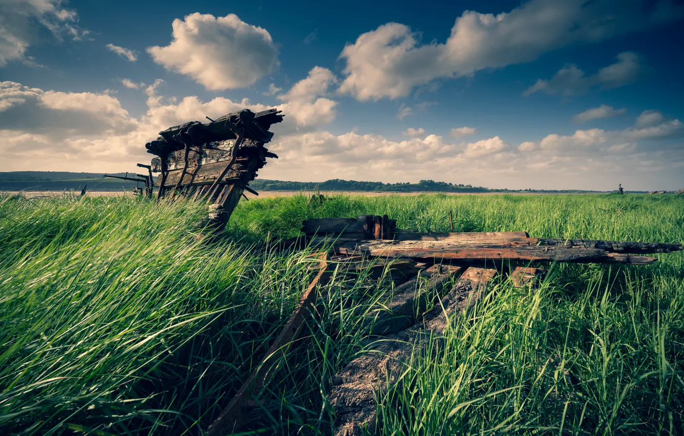 Photo wallpaper the sky, grass, clouds, river, blue, thickets, shore, boat